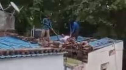 वायरल वीडियो से निकाली गई फोटो।