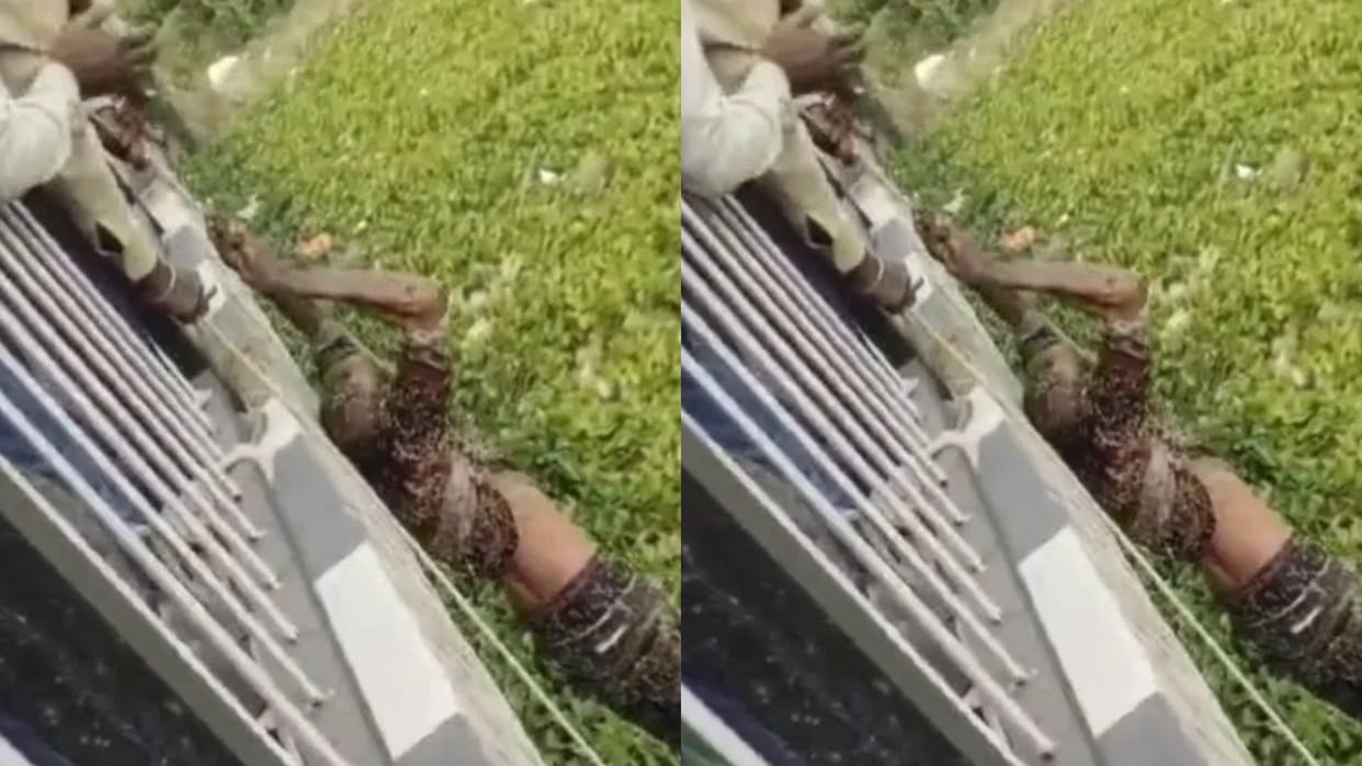 Man Jumps From Bridge To Commit Suicide Water Hyacinth Saves His Life Video goes Viral on Internet