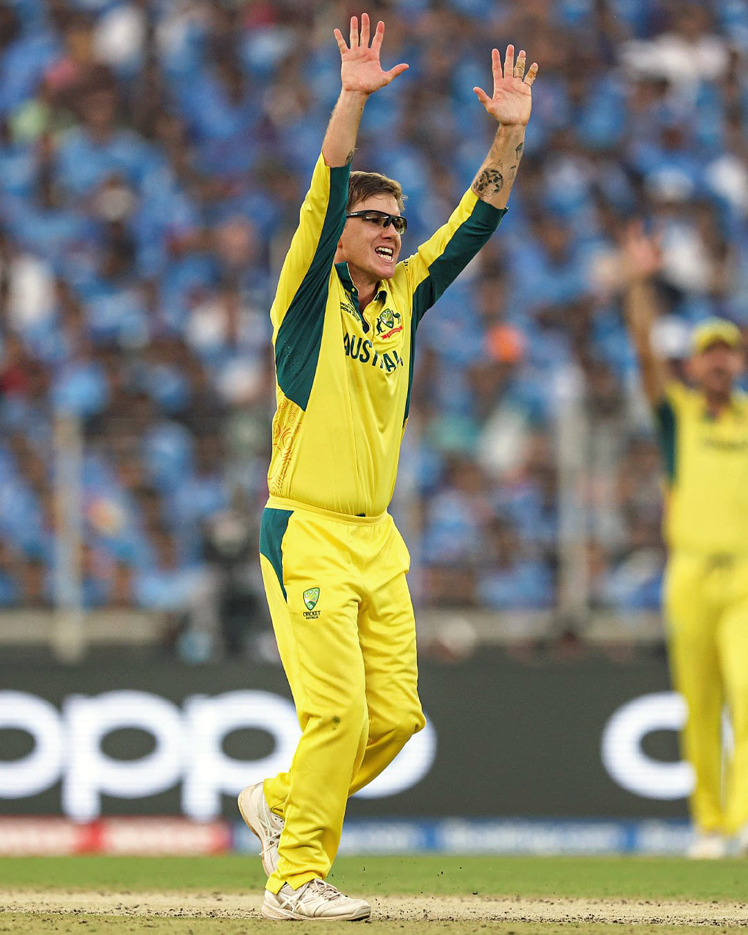 Legspinner Tanveer Sangha will be taking the place of Adam Zampa In Australia's T20I Squad For India Series