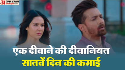 एक दीवाने की दीवानियत