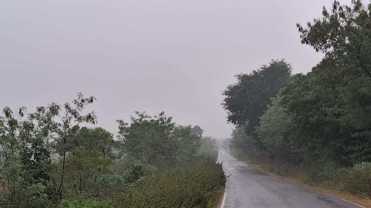 Jhansi: Farmers will benefit from the rain, there will be no need for ploughing.