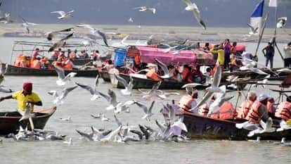 Selfies feeding and reels re disrupting balance of Siberian birds and impairing reproductive capacity