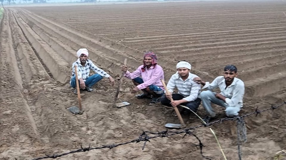 Rain increased the problems of farmers
