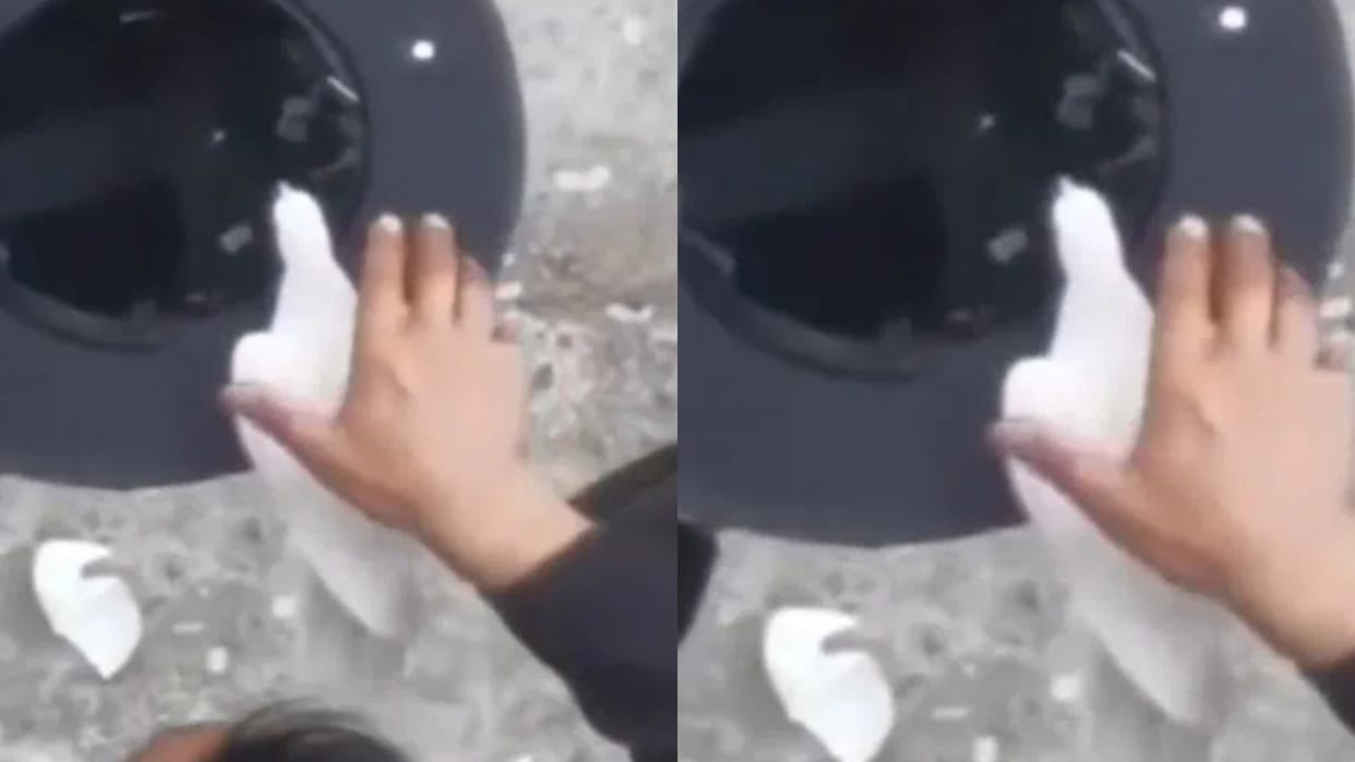How do magicians make pigeons come out of their hats This video finally revealed the secret Know here