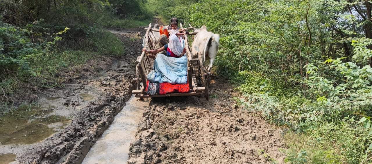 कीचड़ भरे रास्ते से बैलगाड़ी पर गर्भवती को अस्पताल ले जाते परिजन