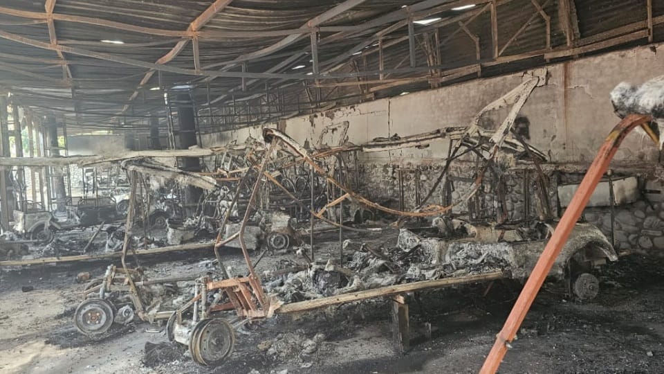 Fire breaks out at Zirakpur Chhatbir Zoo 19 electric vehicles ferrying tourists burn