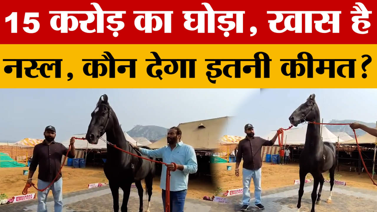 Pushkar Mela: पुष्कर मेले में पहुंचा 15 करोड़ की कीमत वाला घोड़ा, जानें क्यों है इतना महंगा?