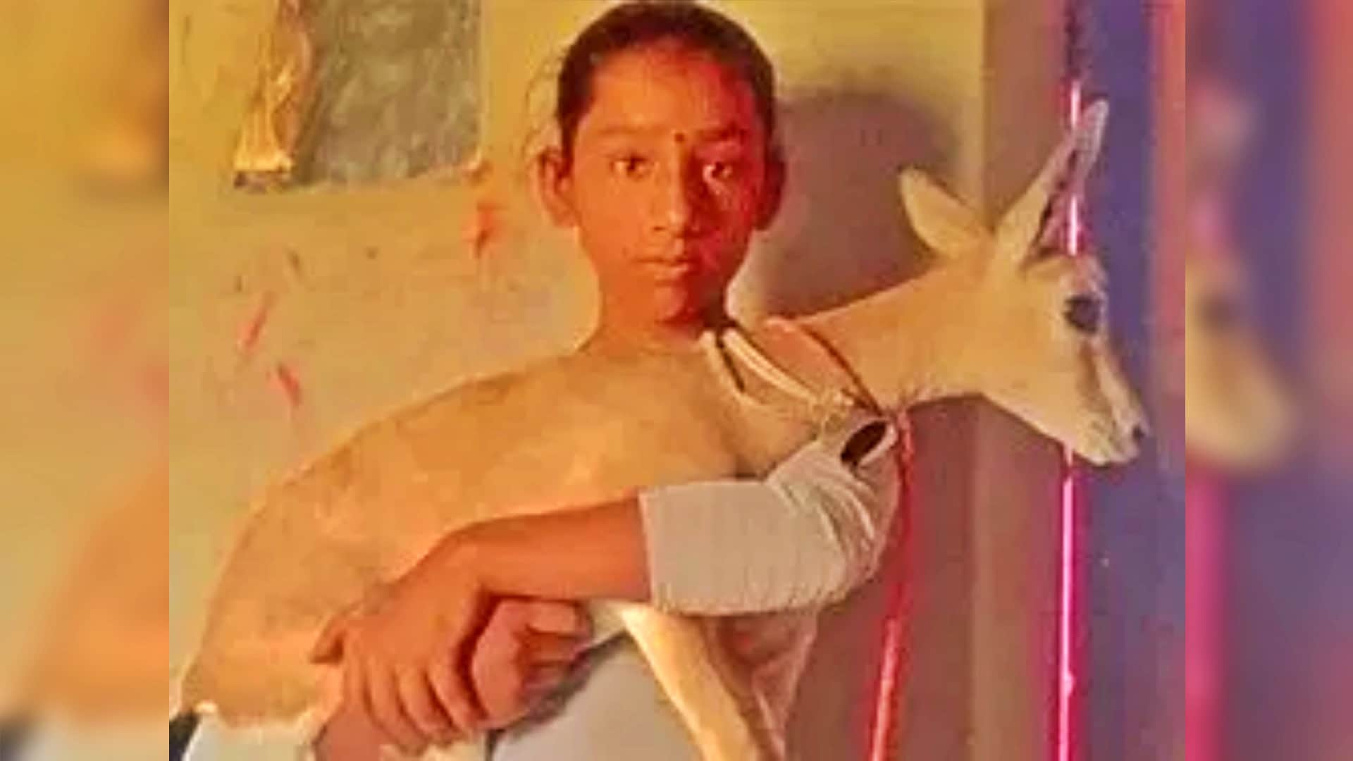 Rajasthan News 11 Year Old Pooja Kanwar Raises Baby Deer Munki Know Details News in Hindi