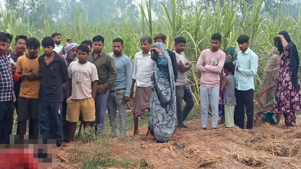 Woman murdered by slitting throat in Amroha, body found in plot Wine bottles and platters