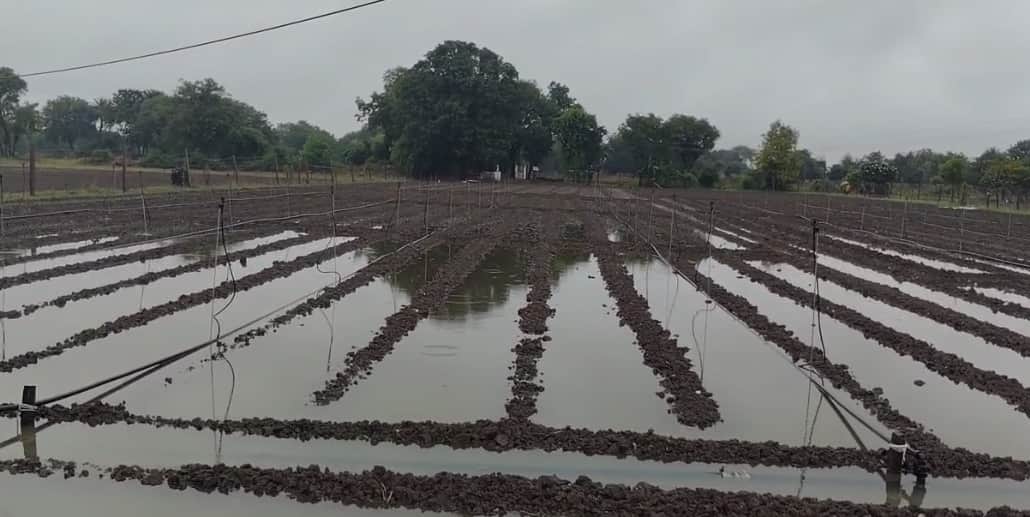 Rain Alert Issued for 6 Districts in Rajasthan as Weather Set to Change Again