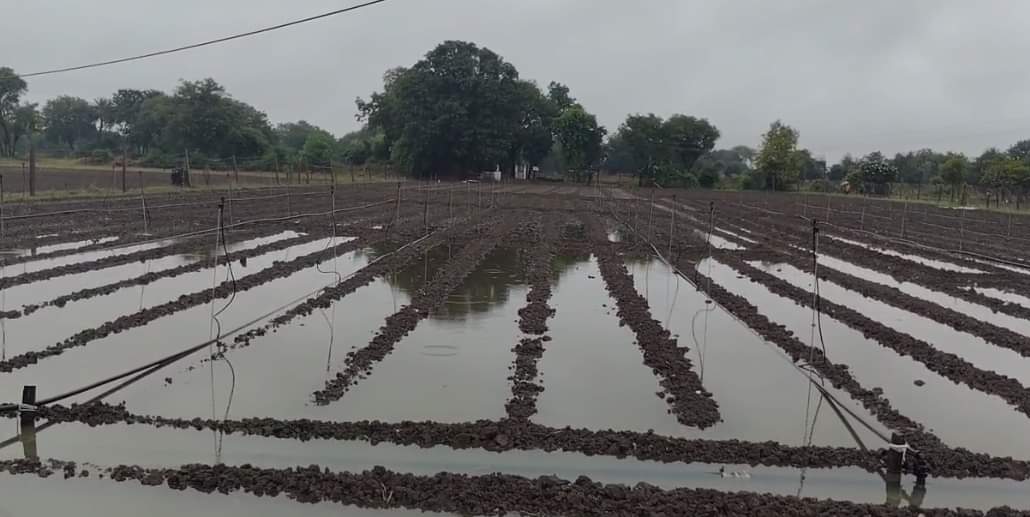 बारिश ने मावठ का अहसास करा दिया है।