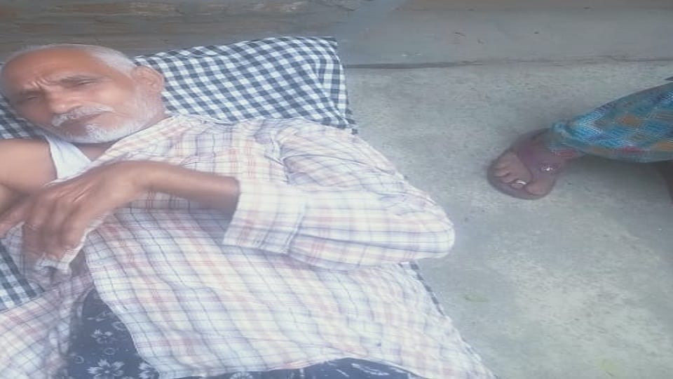 Monkeys attack sick man lying in courtyard wounds all over body hospitalized  in Hapur