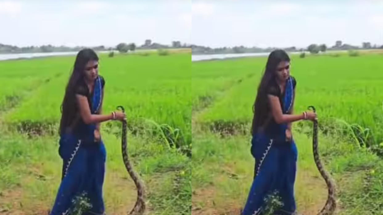 Girl catches tail then pulls hard catches python like a toy leaves onlookers breathless Video Viral