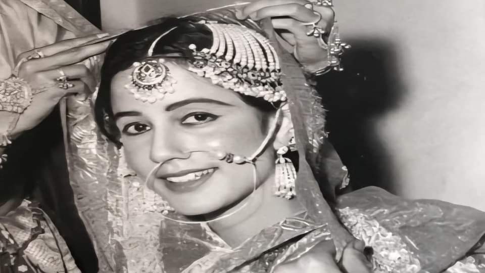 मेहरून्निसा बेगम