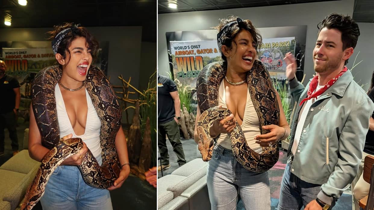priyanka chopra nick jonas share photos with python her hobby is quite old