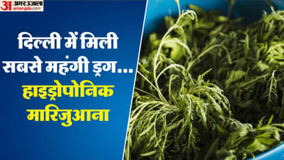 दिल्ली में पकड़ी गई ड्रग्स