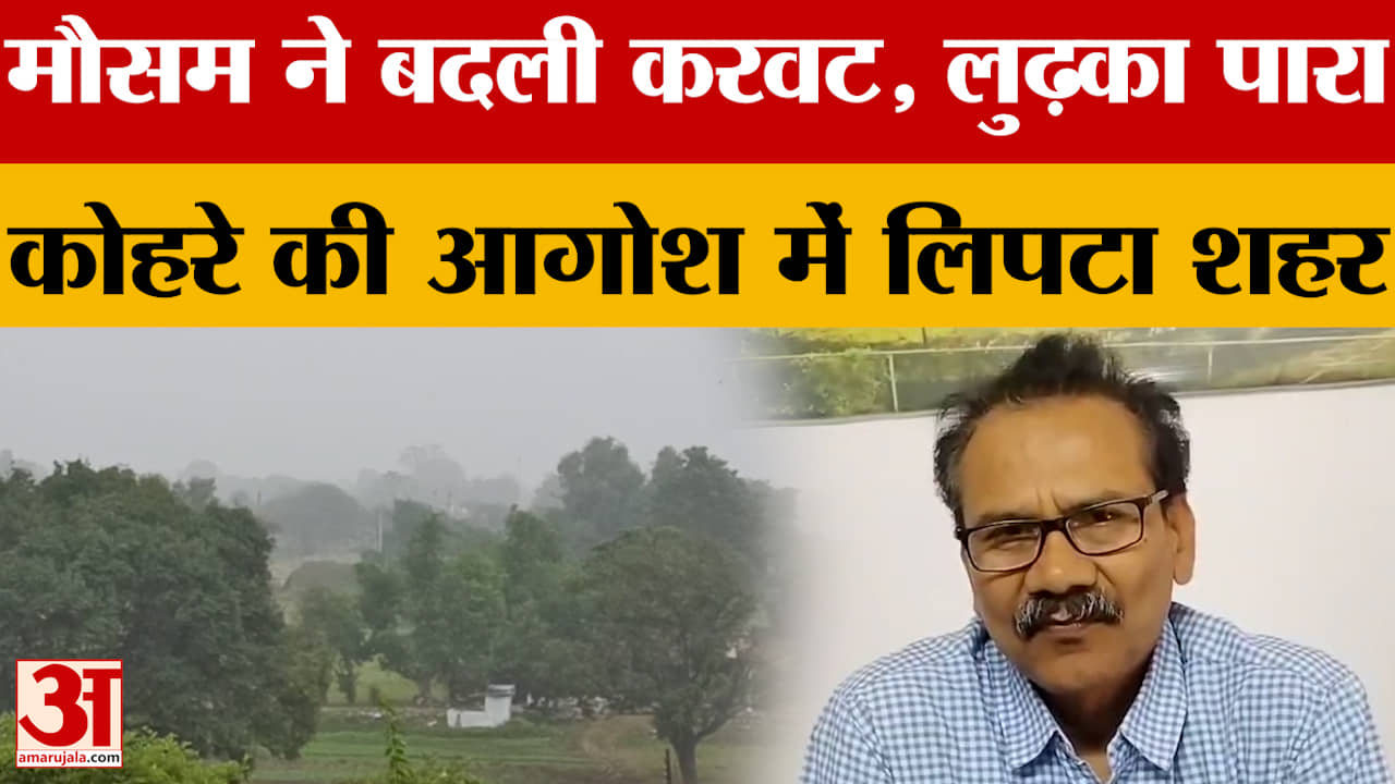 मौसम ने बदली करवट, लुढ़का पारा..कोहरे की आगोश में लिपटा Ujjain, जानें कैसा रहेगा मौसम?