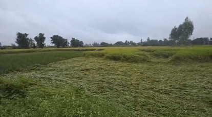 UP: Weather change in Lucknow and near by areas.