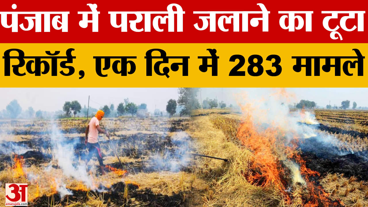 पंजाब में पराली जलाने में सीएम मान का जिला संगरूर तीसरे नंबर पर