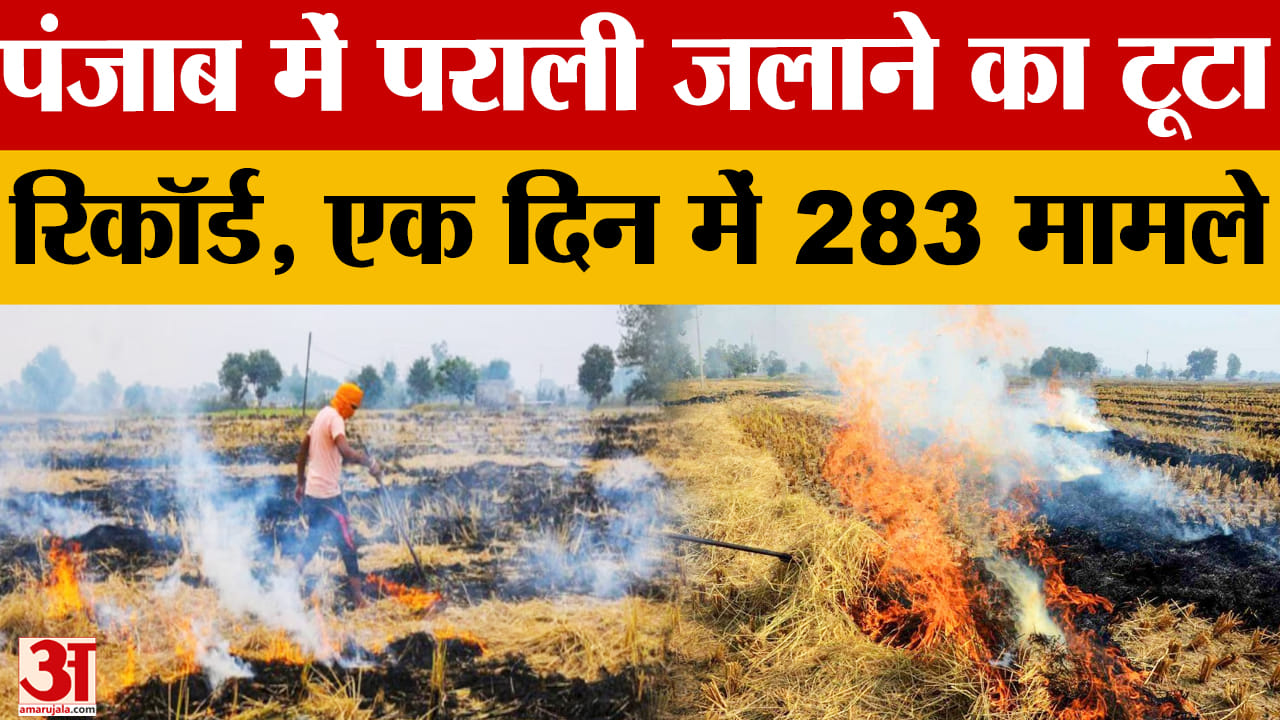 पंजाब में पराली जलाने में सीएम मान का जिला संगरूर तीसरे नंबर पर