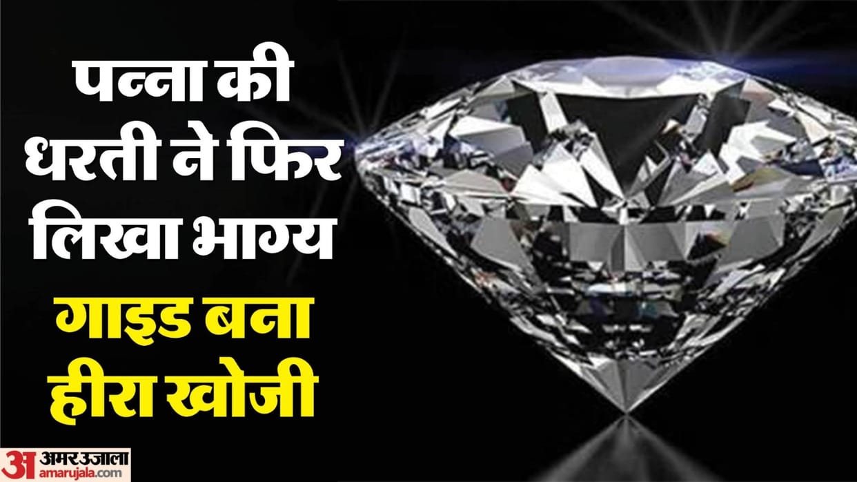 The fate of the guide of Panna Tiger Reserve has changed, two diamonds have brightened his life,