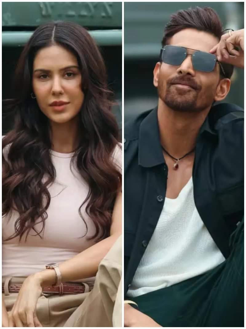 एक दीवाने की दीवानियत