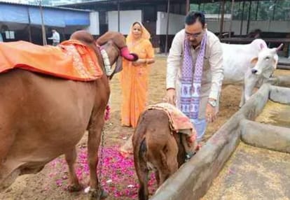CM Bhajanlal Sharma Performs Cow Worship on Gopashtami, Prays for State’s Prosperity
