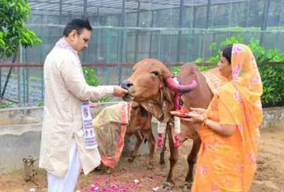 CM Bhajanlal Sharma Performs Cow Worship on Gopashtami, Prays for State’s Prosperity