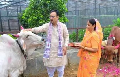 CM Bhajanlal Sharma Performs Cow Worship on Gopashtami, Prays for State’s Prosperity