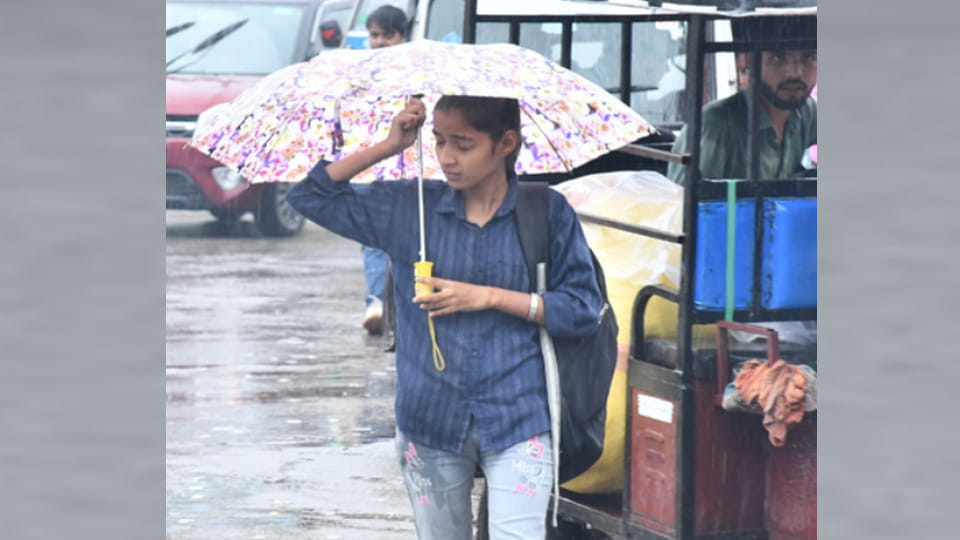 Weather Update: Pre-monsoon rain causes 9-degree temperature drop in Kanpur