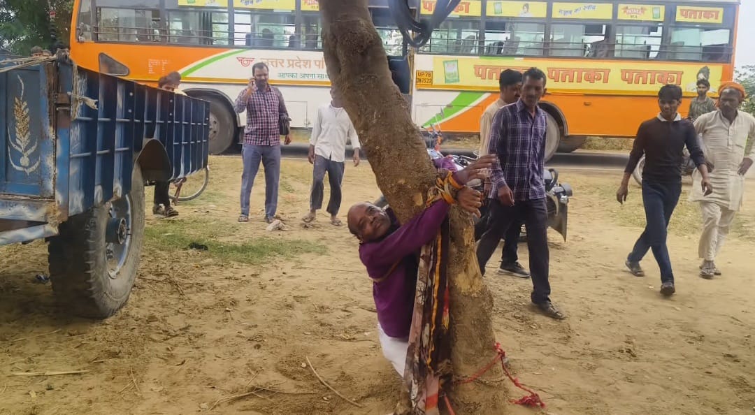 Dog bite man mad throws brick at roadways bus narrowly escapes overturning