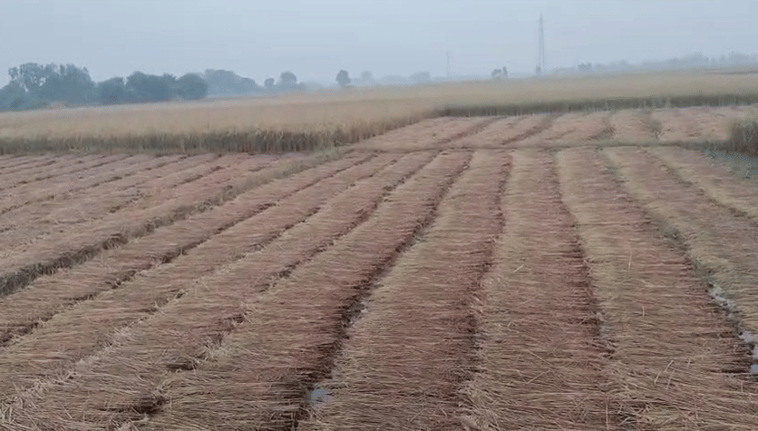 UP: Weather change in Lucknow and near by areas.