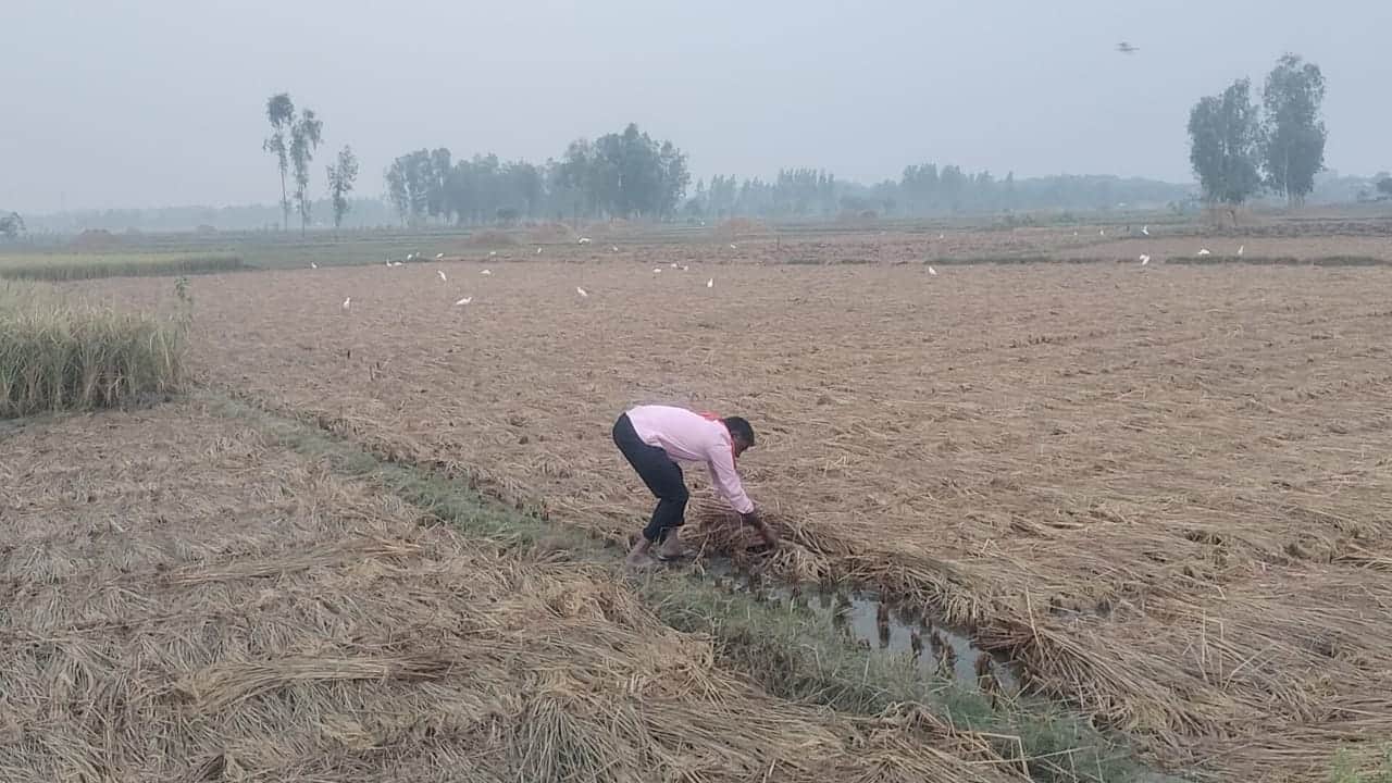 UP: Weather change in Lucknow and near by areas.