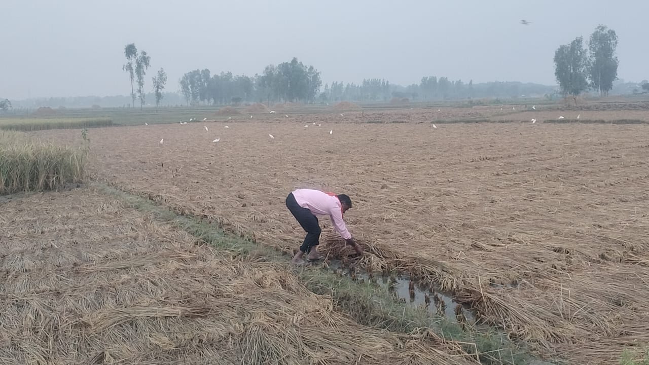 UP: Weather change in Lucknow and near by areas.