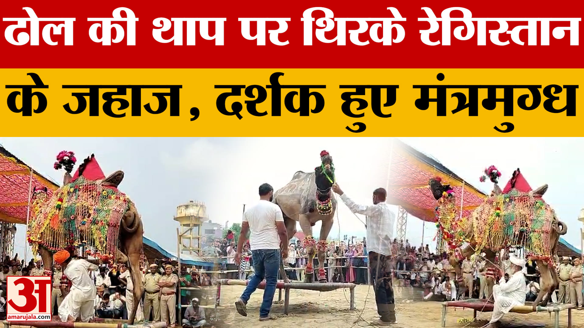 Ajmer: ढोल से निकली धुन तो थिरकने लगे ऊंट, जो कहा वो किया, वीडियो अब हुआ वायरल! Amar Ujala News