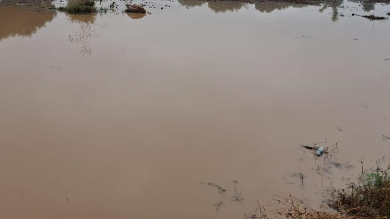 Jhansi: Rain ruins farmers' hard work and costs