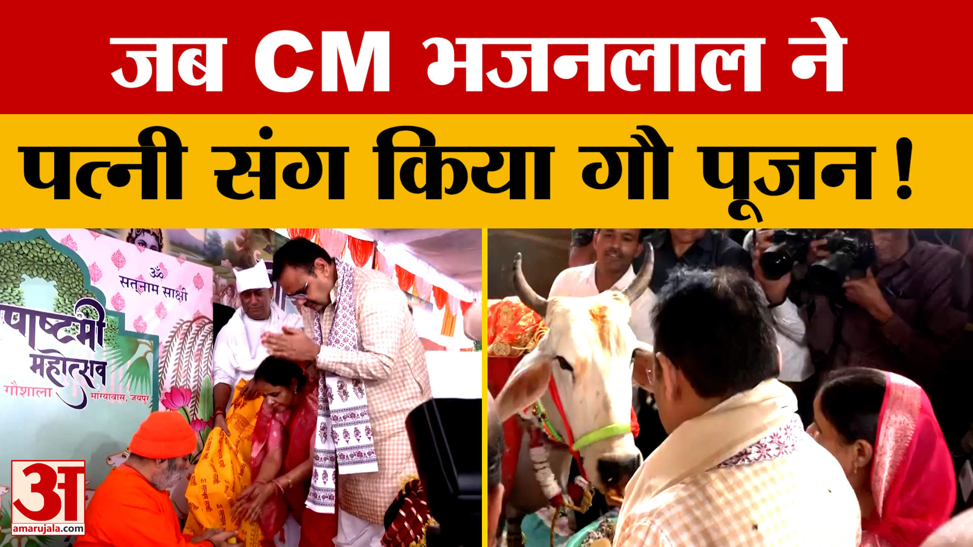 Jaipur: CM Bhajanlal Sharma ने गोपाष्टमी पर की गौ माता की पूजा, वीडियो आया सामने! Amar Ujala News