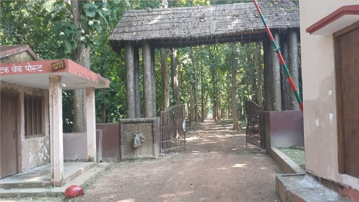 Tourists will be able to visit Dudhwa from tomorrow with new rules.