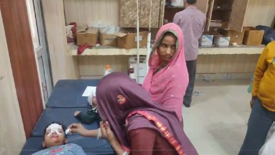 11 people injured in dog attack in Kosikalan in Mathura