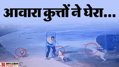 कुत्तों ने शख्स पर किया हमला