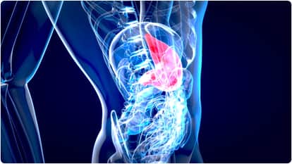 cancer expert reveal why pancreatic cancer rising how to prevent it know in hindi