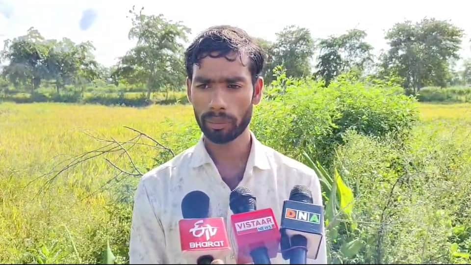 थनेन्द्र साहू कृषक अलंकरण पुरस्कार के लिए चयनित