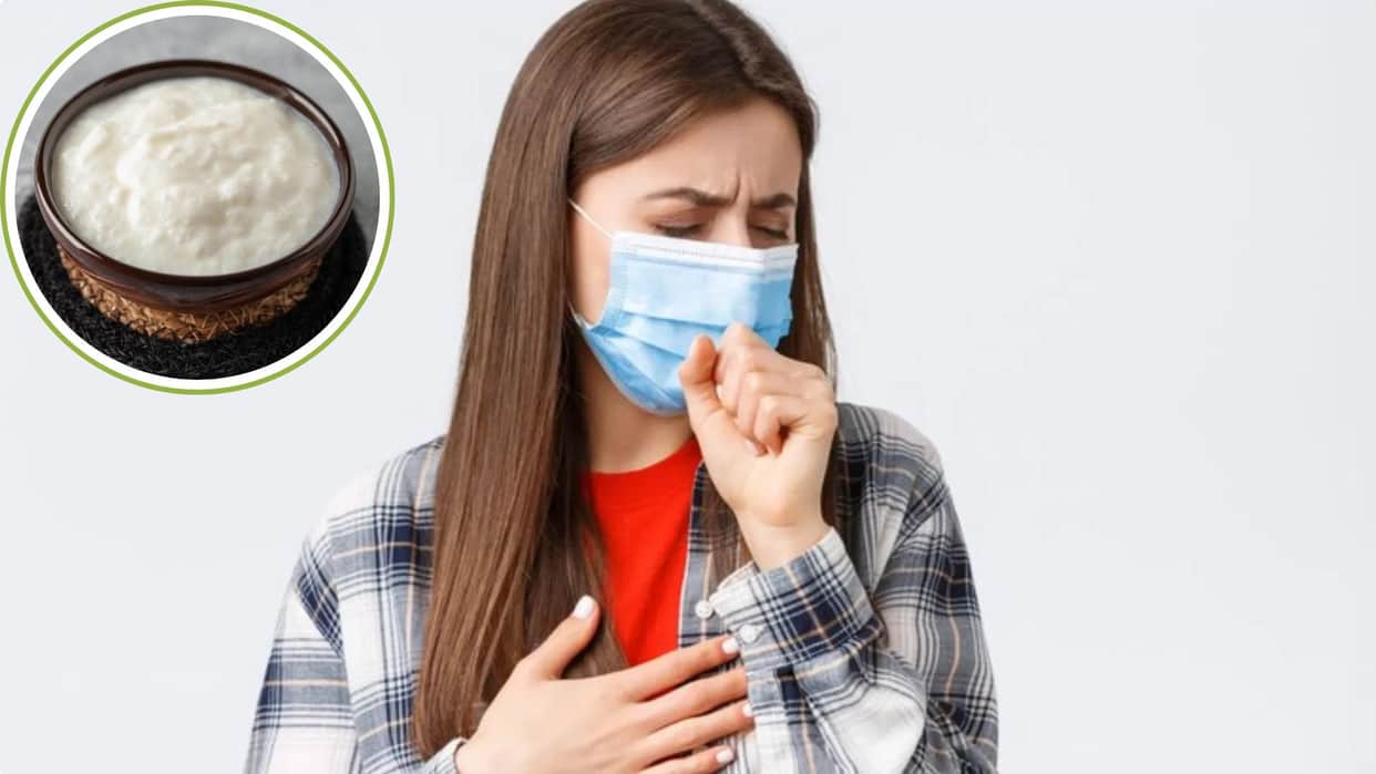 Health Tips Can you eat yogurt during a cold Learn about its health effects