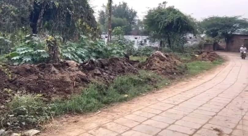 Cancer wreaks havoc in Haryana Phalendi village over two dozen deaths in a year