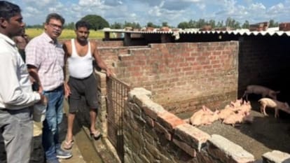 सूअर बाड़ा का निरीक्षण करती टीम