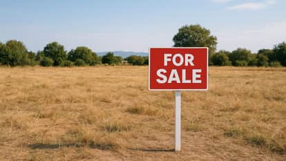 प्रतीकात्मक तस्वीर