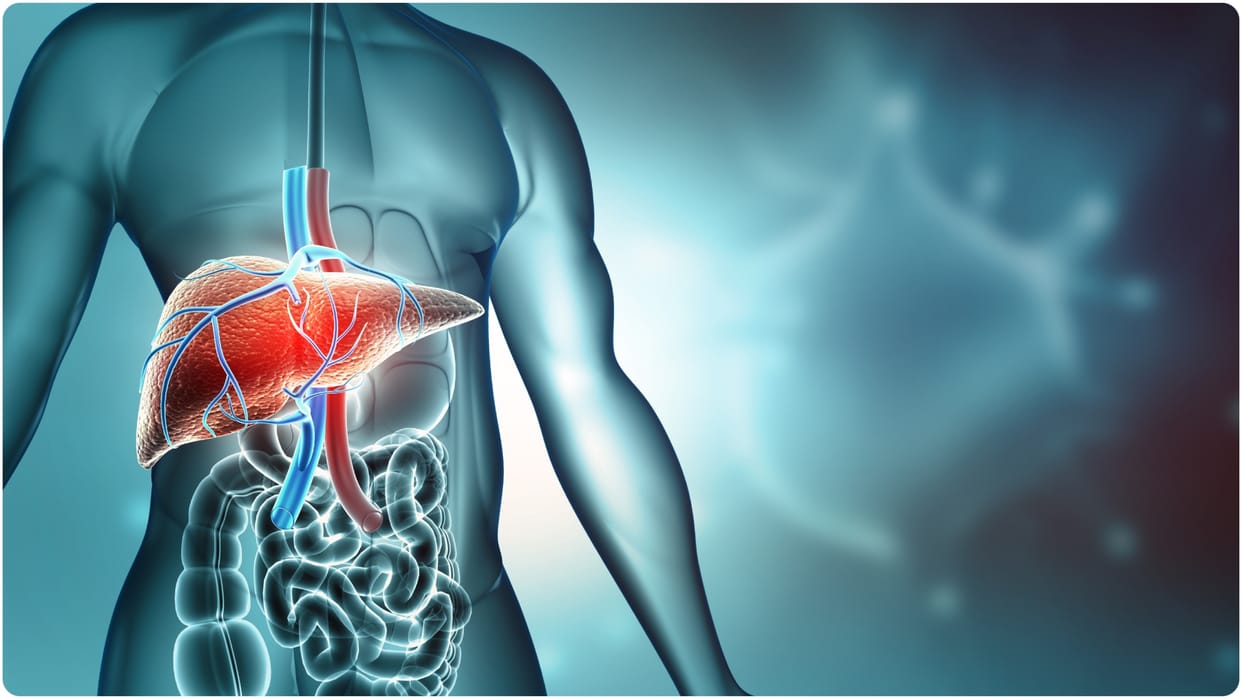 Fatty Liver in Winter Why Cases Increase and How to Stay Safe Precautions and Health Tips