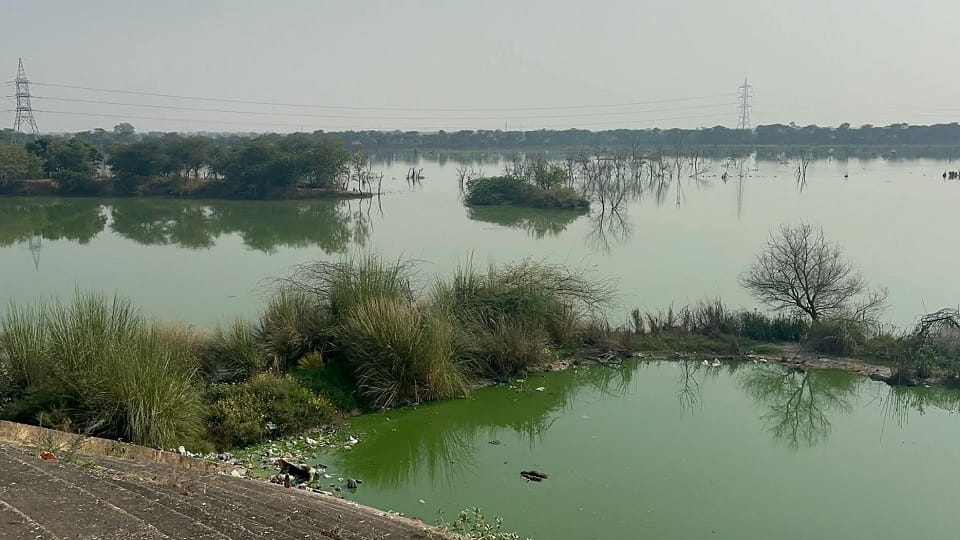 NGT strict on making Sahibi river a Najafgarh drain