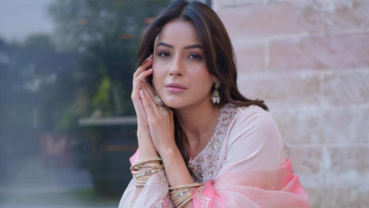 Shehnaaz Gill Share View On Cosmetic Treatment