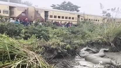 Elephant injured after being hit by train four days ago dies in Gularbhoj